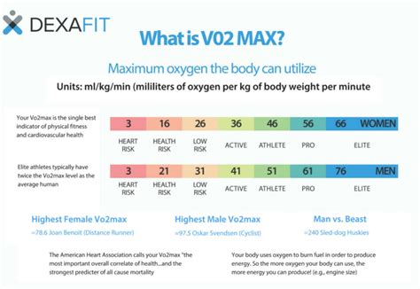 Vo2 Max Chart