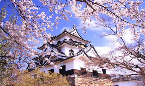 Five reasons to visit the Kansai Region of Japan for WMG 2021 | IMGA