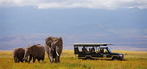 Tortilis Camp | Amboseli National Park, Kenya | The Africa Specialists™