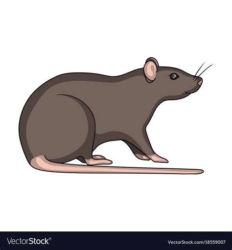 Rodent rat single icon in cartoon style for design.Pest Control Service vector symbol stock ...