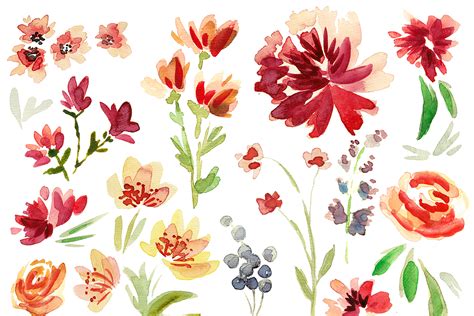 Different Types Of Flowers To Draw Easy / Download this free vector ...