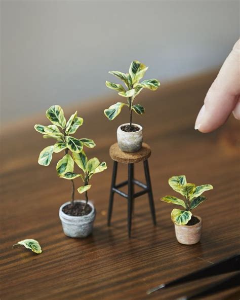 Collection — Lemon Miniatures | Mini plants, Diy doll miniatures ...