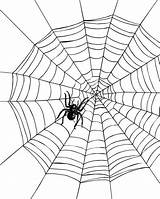 Printable Spider Web sketch template