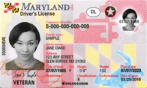 Your First-Time Maryland Drivers License Guide | Driving Guide