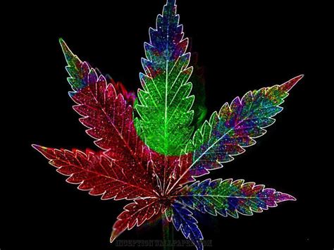 Marijuana Wallpapers - Wallpaper Cave