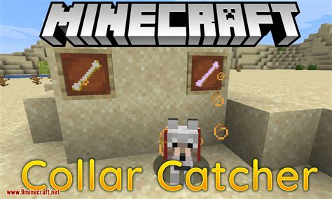 Collar Catcher: The Dog Revival Mod 1.14.4 (Never Lose a Dog Again ...