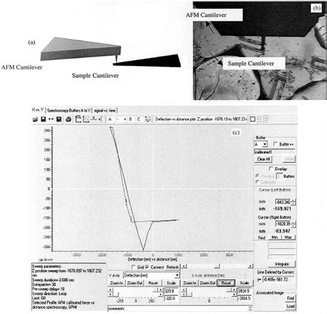 AFM cantilever deflecting sample cantilever (a) principle used for ...