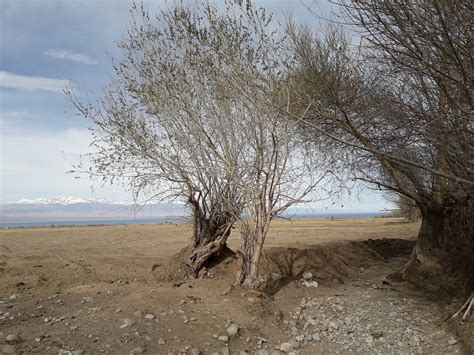 Shrub Steppe Expanse - Free photo on Pixabay - Pixabay