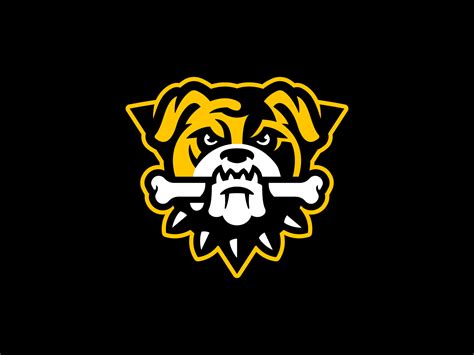 Bulldog Mascot Logo by Matthew Doyle on Dribbble