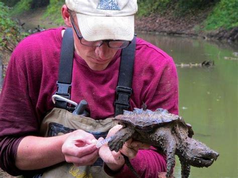 Alligator Snapping Turtle Habitat Map