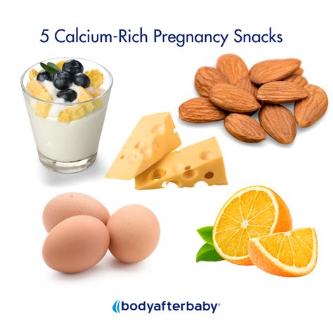 5 Calcium-Rich Foods for a Fit Pregnancy – Body After Baby