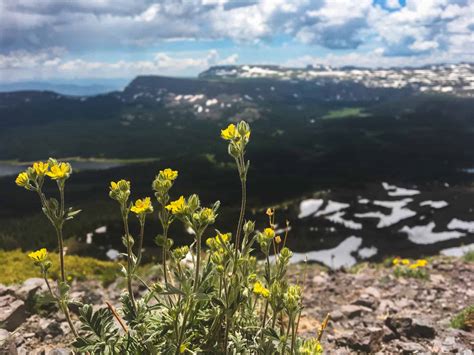 13 Best Steamboat Springs Hiking Trails (By A Local) 2024