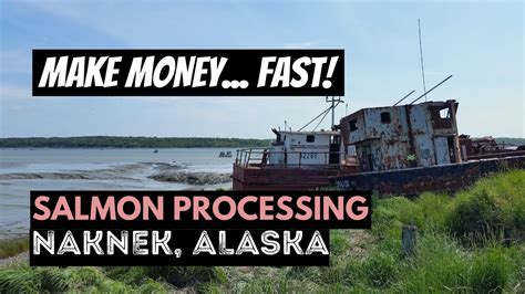 SALMON PROCESSING in ALASKA | SEASONAL WORK at LEADER CREEK FISHERIES in NAKNEK, ALASKA - YouTube