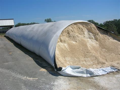 High Moisture Corn Silage | Quality Silage