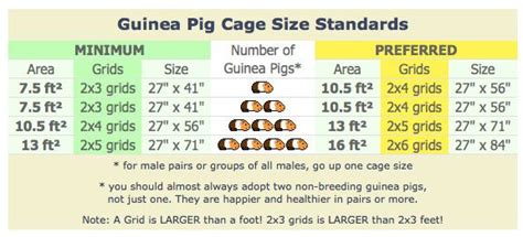 Coroplast Coroplast question | Guinea pigs, Guinea pig cage, Pet guinea ...