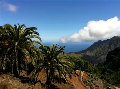 2023 Best 10 Trails and Hikes in La Gomera | AllTrails