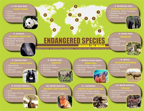 Endangered Species In Southeast Asia