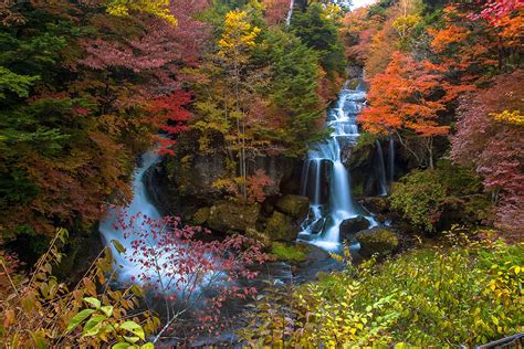 The 10 Best Places to See Autumn Leaves in Japan