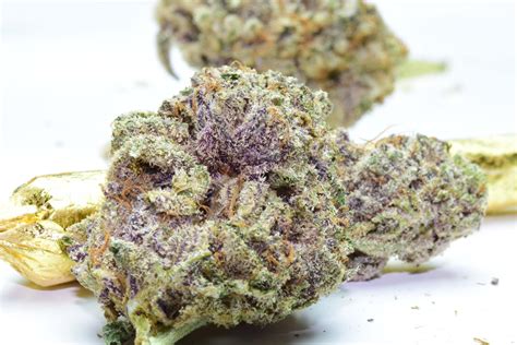 Real Purple Weed