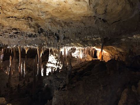 Naracoorte Caves National Park - 2019 All You Need to Know BEFORE You Go (with Photos) - TripAdvisor