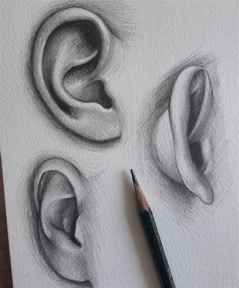 art ear sketch drawing Drawing Eyes, Anatomy Drawing, Anatomy Art ...