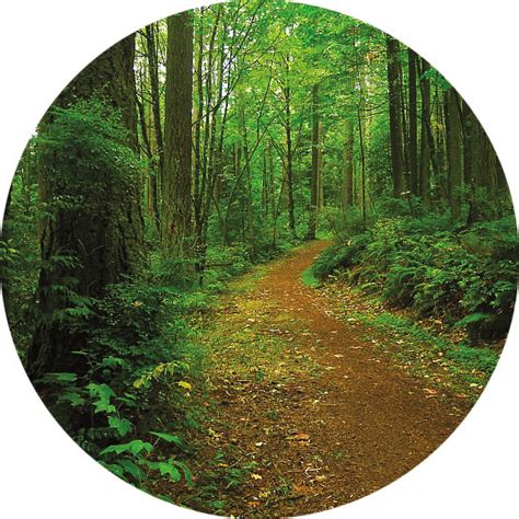 Essential Forest Park Hikes | Portland Monthly