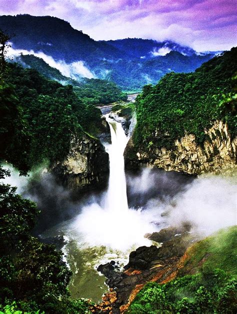 92 best Amazon Rain Forest images on Pinterest | Nature, Wild animals ...