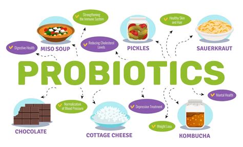 Berbagai Makanan Dengan Probiotik Tinggi - Sehat Abadi