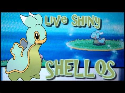 LIVE!! Shiny SHELLOS + SHINY PATCH at chain of 40!! - YouTube