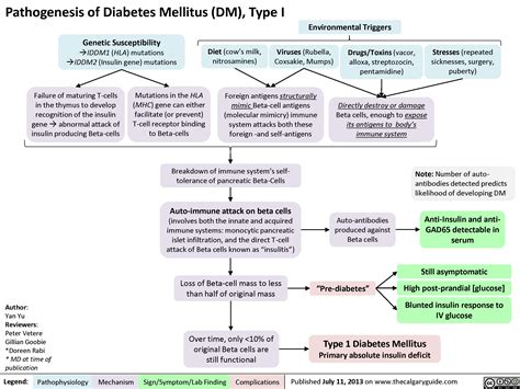 Pathogenesis of Diabetes Mellitus (DM), Type I | Calgary Guide