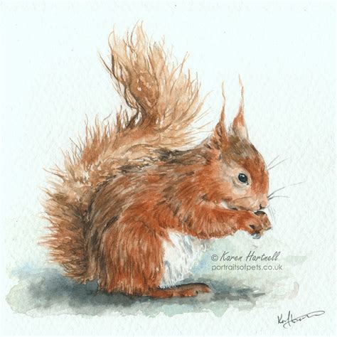 Red Squirrel - Original Watercolour Painting *Sold - Karen Hartnell