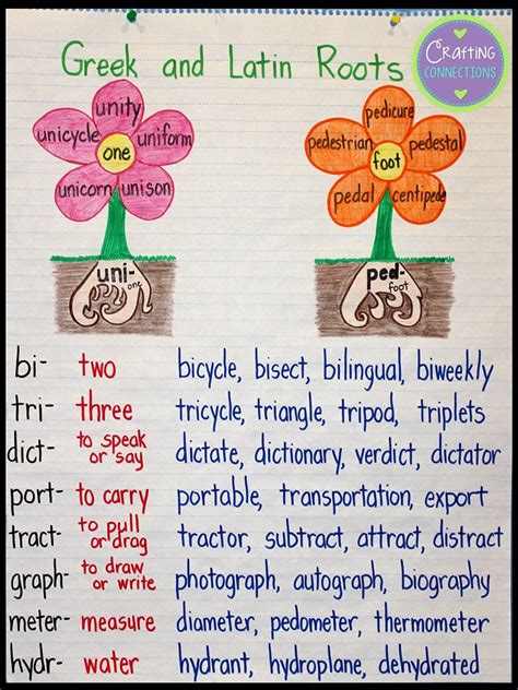 Greek and Latin Roots Anchor Chart | Crafting Connections