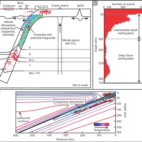 Intermediate-and deep-focus earthquakes, and their locations within and ...