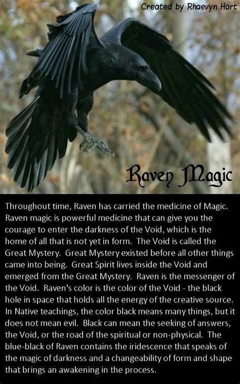 Raven Magic | Raven spirit animal, Animal spirit guides, Crow spirit animal