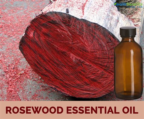 Rosewood essential oil benefits