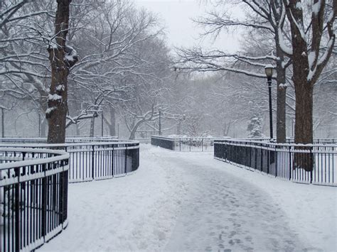File:Tompkins Square Park snow by David Shankbone.jpg - Wikimedia Commons