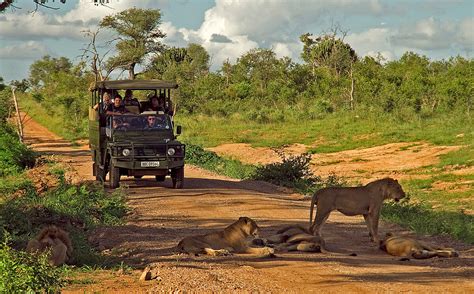 Mjejane River Lodge, Kruger National Park - Safaris Down South