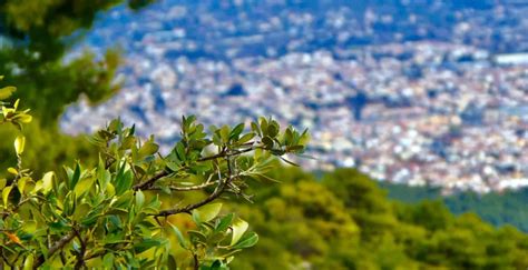 National garden of athens & Syntagma [Athens] | Tourist Office