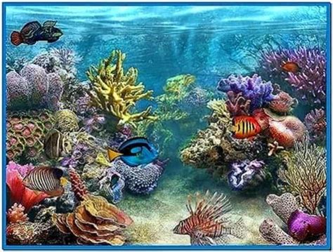 3d tropical fish aquarium ii screensaver - Download free