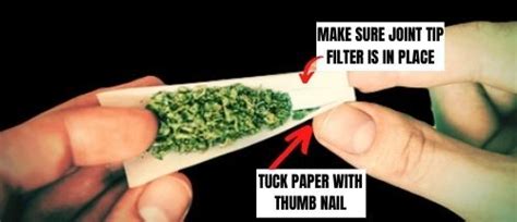 How to Roll a Joint with a Filter - Moose Labs LLC