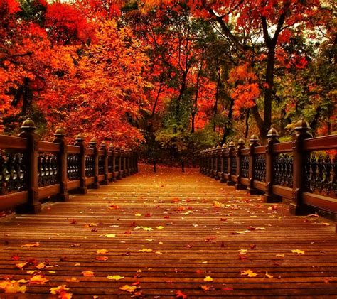 Hello Autumn Aesthetic Wallpapers - Top Free Hello Autumn Aesthetic ...