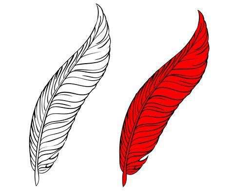 Feather Coloring Page For Kids Free Stock Photo - Public Domain Pictures
