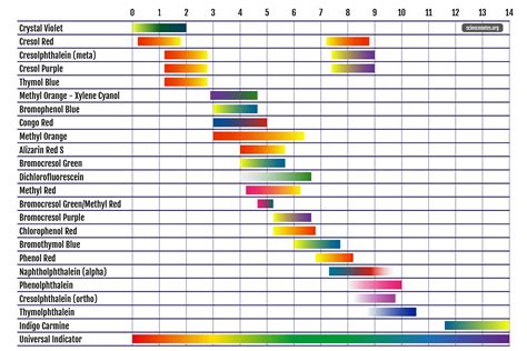 Label The Ph Scale Diagram / Ph Scale Infographic Acidbase Balance Scale Stock Vector Royalty ...