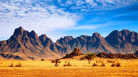 African Savanna Wallpapers | HD Wallpapers | ID #18232