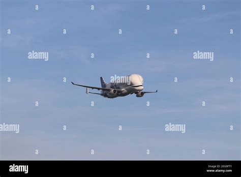 Airbus A330-743l Beluga XL landing at Hawarden airport in Wales Stock Photo - Alamy