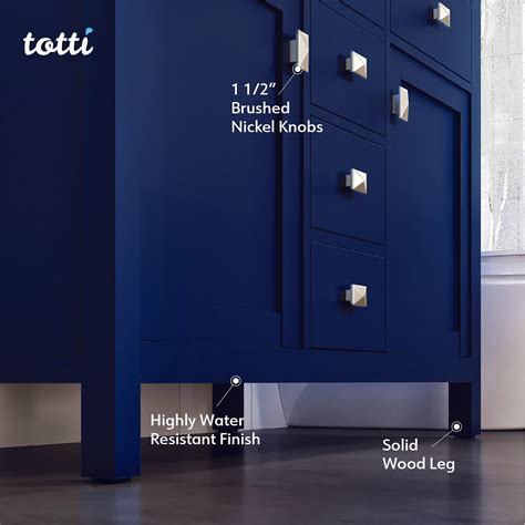 Totti Artemis 48" Blue Transitional Double Sink Bathroom Vanity with W ...