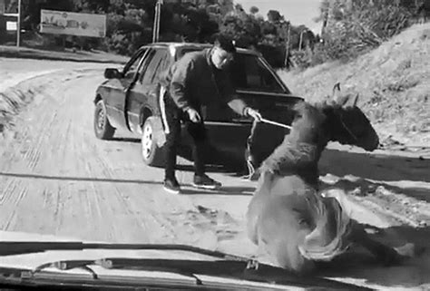 Knackered Horse Dragged Behind Cruel Motorist Collapses