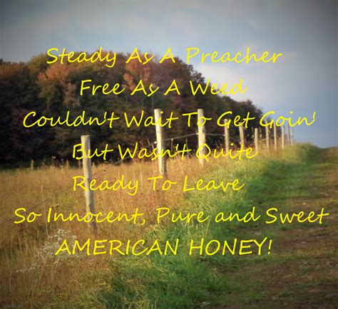 American Honey...Lady Antebellum Country Music Lyrics | Country girl quotes, Country song quotes ...