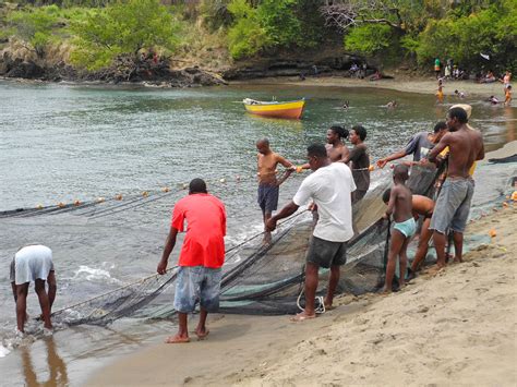 Seine fishing from the beach | Everyone around seemed to be … | Flickr