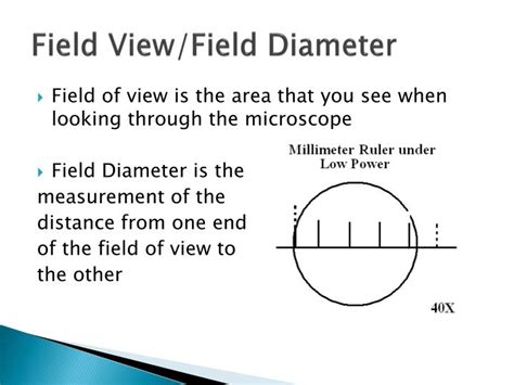 PPT - Microscopes PowerPoint Presentation - ID:2685535